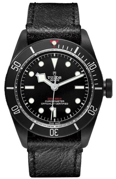 Replica Tudor Heritage Black Bay Dark automatic M79230DK-0007 watches